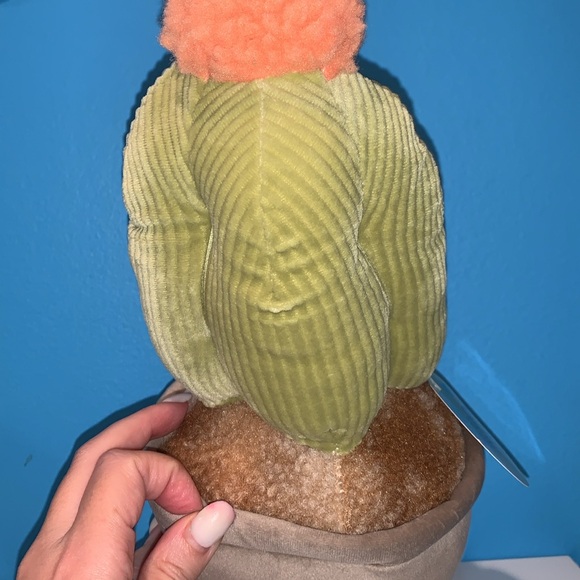 Smoochy pals no watering needed nwt - Picture 5 of 9